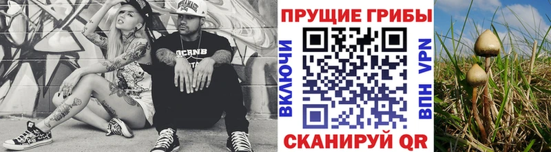даркнет сайт  Пушкино  Псилоцибиновые грибы Cubensis 